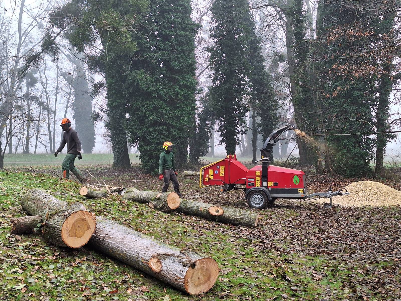 Rognage de souche d'arbre tarif Belleville-en-Beaujolais (69220)