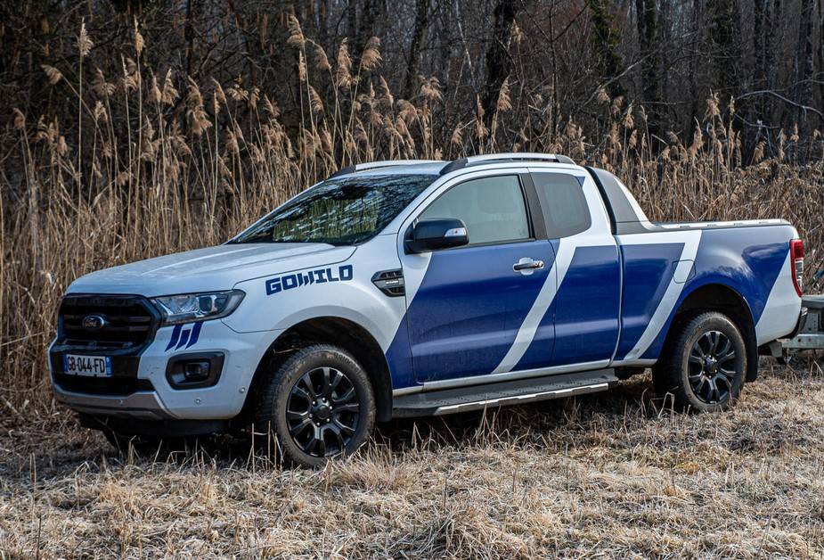 Elagage professionnel d'arbres résineux à Vienne 38 Isère