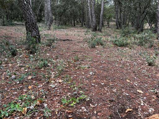 Louer un chenillard radiocommandé avec conducteur Vienne 38 Isère
