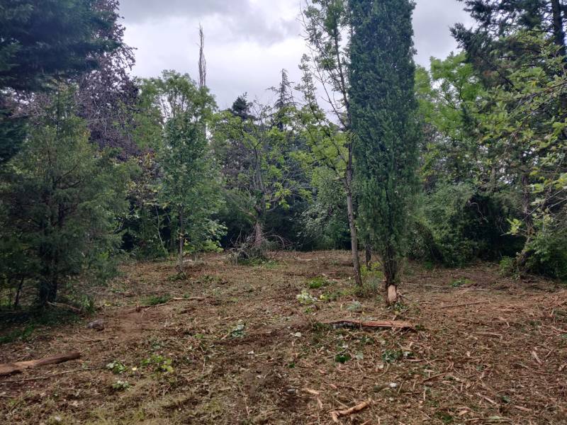 résultat après broyage d'une parcelle sur la commune de Chaponost proche de Lyon