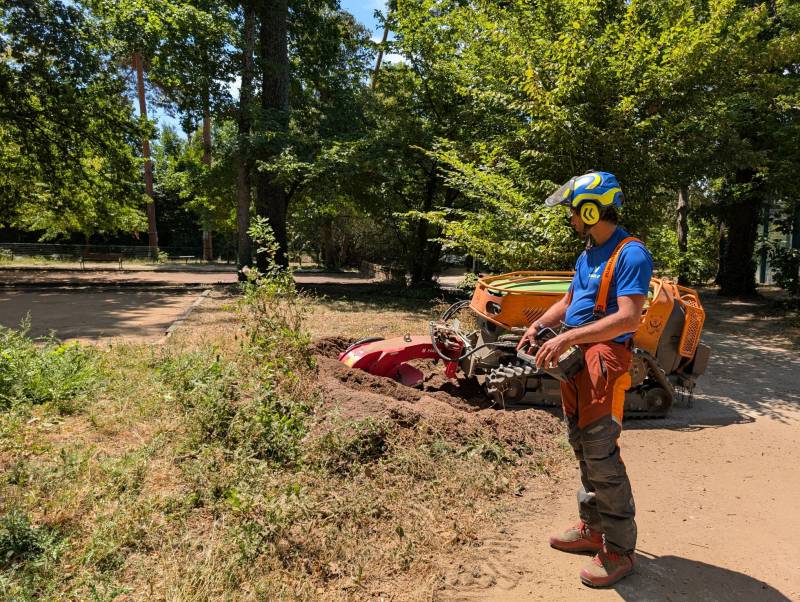 Rognage de souches dans les parcs d'Écully : une campagne à la machine radiocommandée
