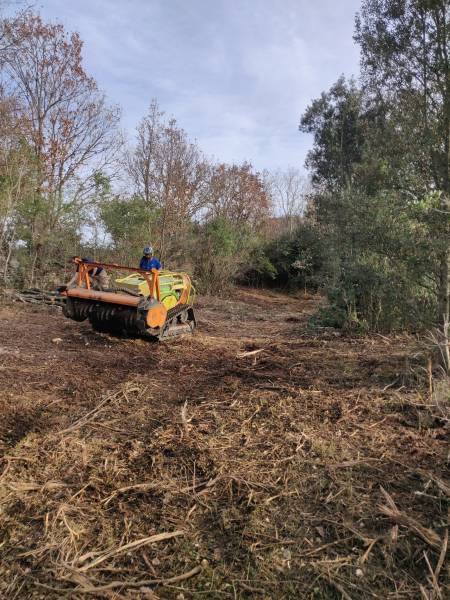 Location robot de débroussaillage