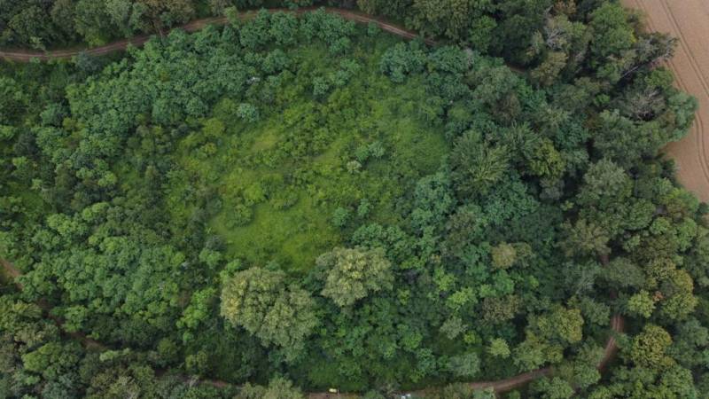 Avant intervention de GOWILD ELAGAGE spécialiste en débroussaillage en milieux complexes à Bourg en Bresse