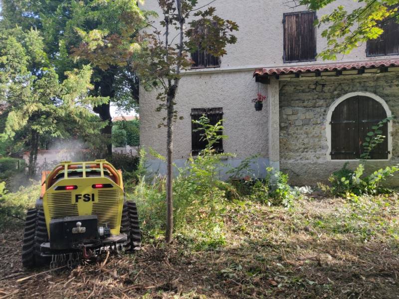 Débroussaillage avant abattage d'arbres à Chaponost proche de Lyon