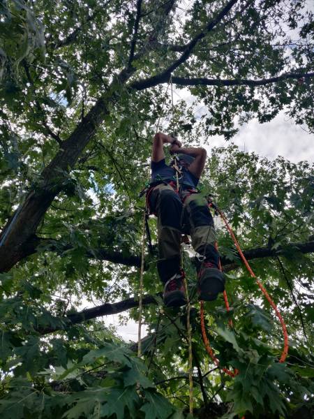 Grimpe en SRT (Single Rope Technic)