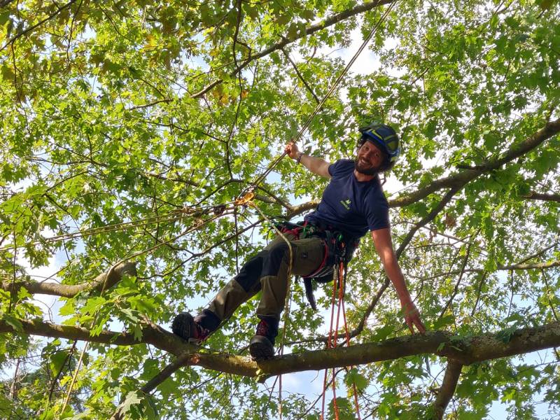 Déplacement dans l'arbre avec 2 points d'appuis apportés par la corde