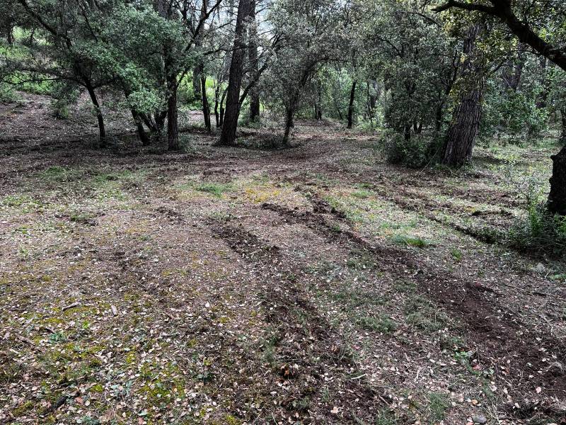 Comment Débrousailler son terrain pour la sécurité incendie