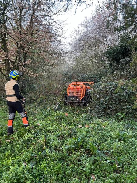 Puissance et précision : le broyeur forestier de notre chenillard pulvérise les murs de ronces sans abîmer le sol.