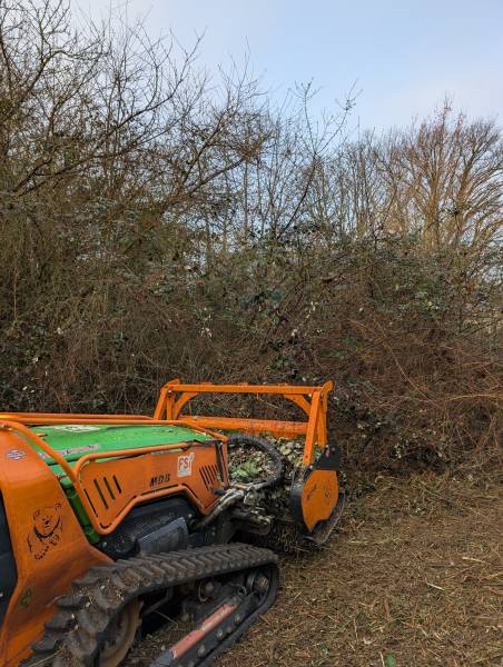 Notre robot de débroussaillage en action à Écully : un broyage forestier millimétré pour libérer les terrains envahis