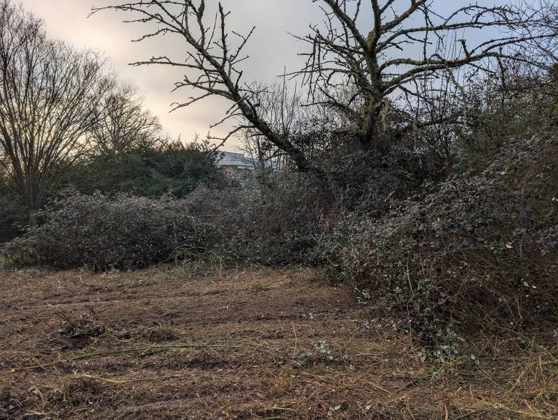 Résultat après passage du chenillard radiocommandé : la lumière revient et la biodiversité respire enfin sur cette parcelle assainie.