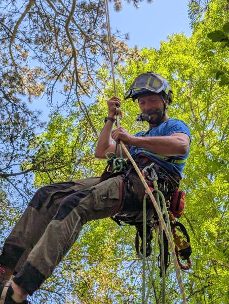 Récupération de drone dans un arbre – Lyon et Rhône