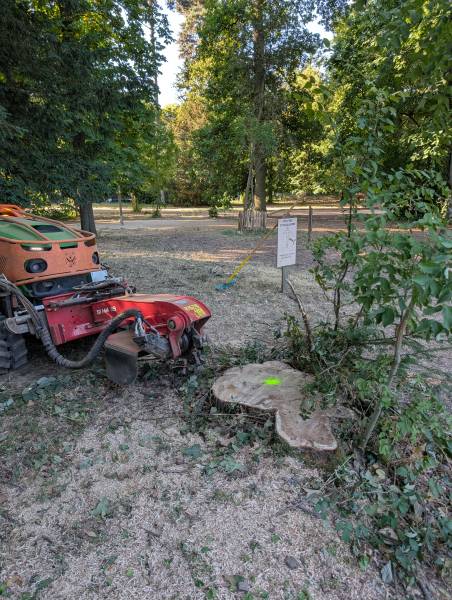Rognage de souches dans les parcs d'Écully : une campagne à la machine radiocommandée