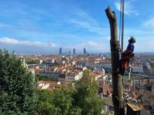 Notre zone d'activité pour ce service Prestations de débroussaillage et broyage pour terrain pentu