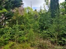 Nos prestations sur le secteur de Lyon 69 Rhône