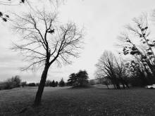 Nos prestations sur le secteur de Lyon 69 Rhône