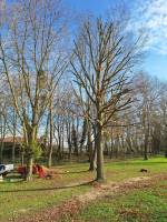 Nos prestations sur le secteur de Lyon 69 Rhône