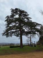 Nos prestations sur le secteur de Belleville-en-Beaujolais (69220)