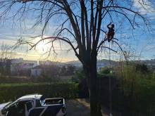 Notre zone d'activité pour ce service Devis travaux de bucheronnage par un professionnel à