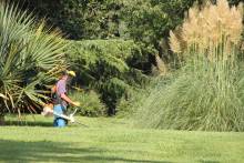 Quaedam suae nequo mortalem ultra