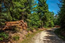 Etiam uxori aut nullo imperator