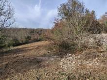 Notre zone d'activité pour ce service Rognage de souche d'arbre tarif