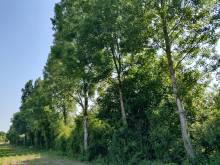 Notre zone d'activité pour ce service Fauchage en zone difficile par robots télécommandé avec un professionnel à