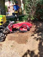 Notre zone d'activité pour ce service Quelles autorisations pour abattre un arbre à