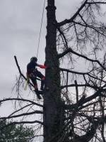 Notre zone d'activité pour ce service Dégagement de parcelles forestières à vendre
