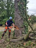 Notre zone d'activité pour ce service Location de robots débroussailleurs pour travaux de pentes