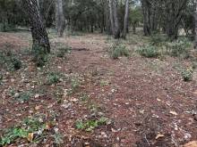 Notre zone d'activité pour ce service Robot de tonte pour terrain en pente en location près de