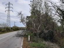 Nos prestations sur le secteur de Vienne 38 Isère