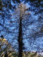 Nos prestations sur le secteur de Vienne 38 Isère
