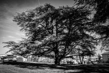 Nos prestations sur le secteur de Neuville-sur-Saône 69250