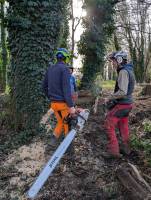 Nos prestations sur le secteur de Champagne-au-Mont-d'Or 69410