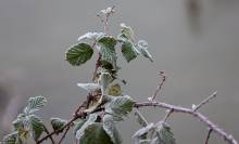 Notre zone d'activité pour ce service Robot broyeur de pente location pas cher à