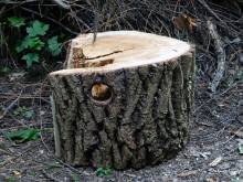 Nos prestations sur le secteur de Champagne-au-Mont-d'Or 69410